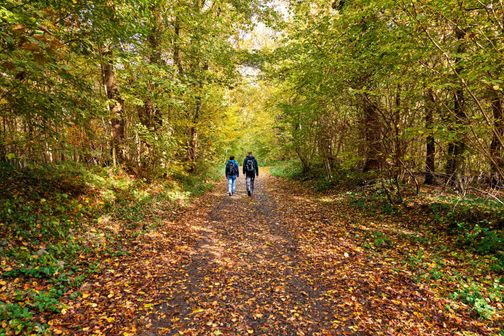 Zwei Wanderer auf dem Weg