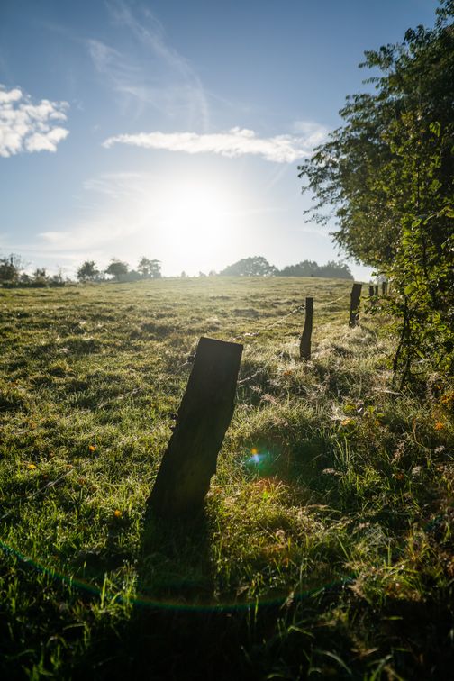 Die Sonne scheint über die Felder