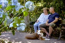 Pärchen sitzt auf Bank mit Hund davor