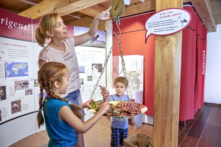 Eine Familie schaut sich die NABU Storchenausstellung in Bergenhusen an.