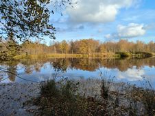 Moorlandschaft