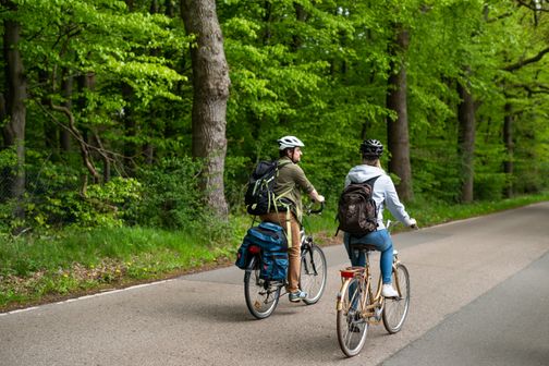 Zwei Radfahrende radeln auf dem Ochsenweg.