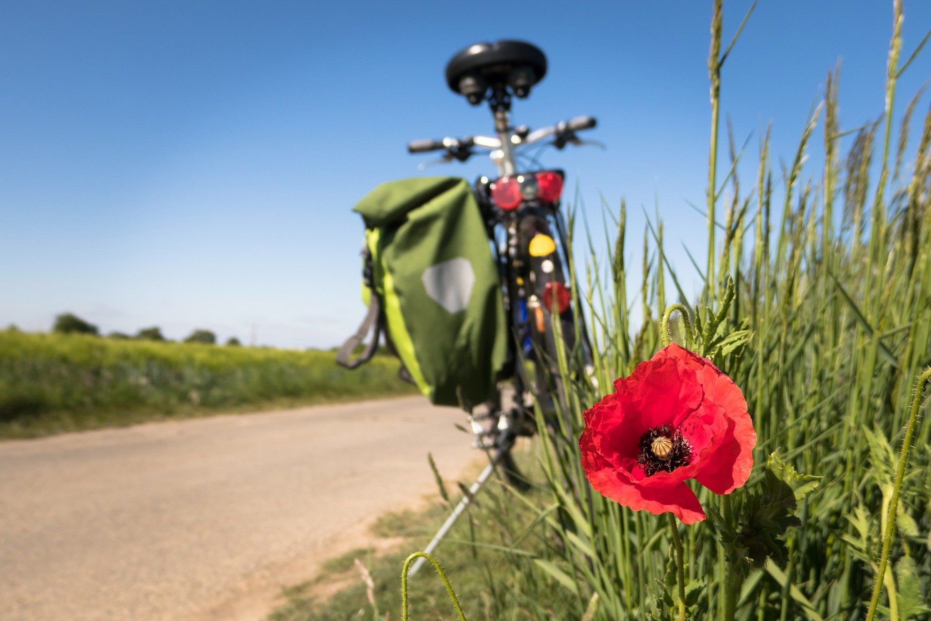 Fahrrad steht am Wegesrand