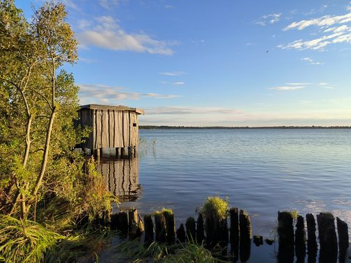 Hohner See mit Vogelbeobachtungshütte