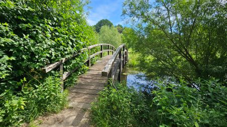 Treeneblick auf der Brücke