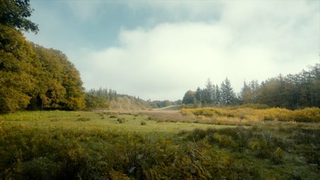 Landschaft: Fröruper Berge