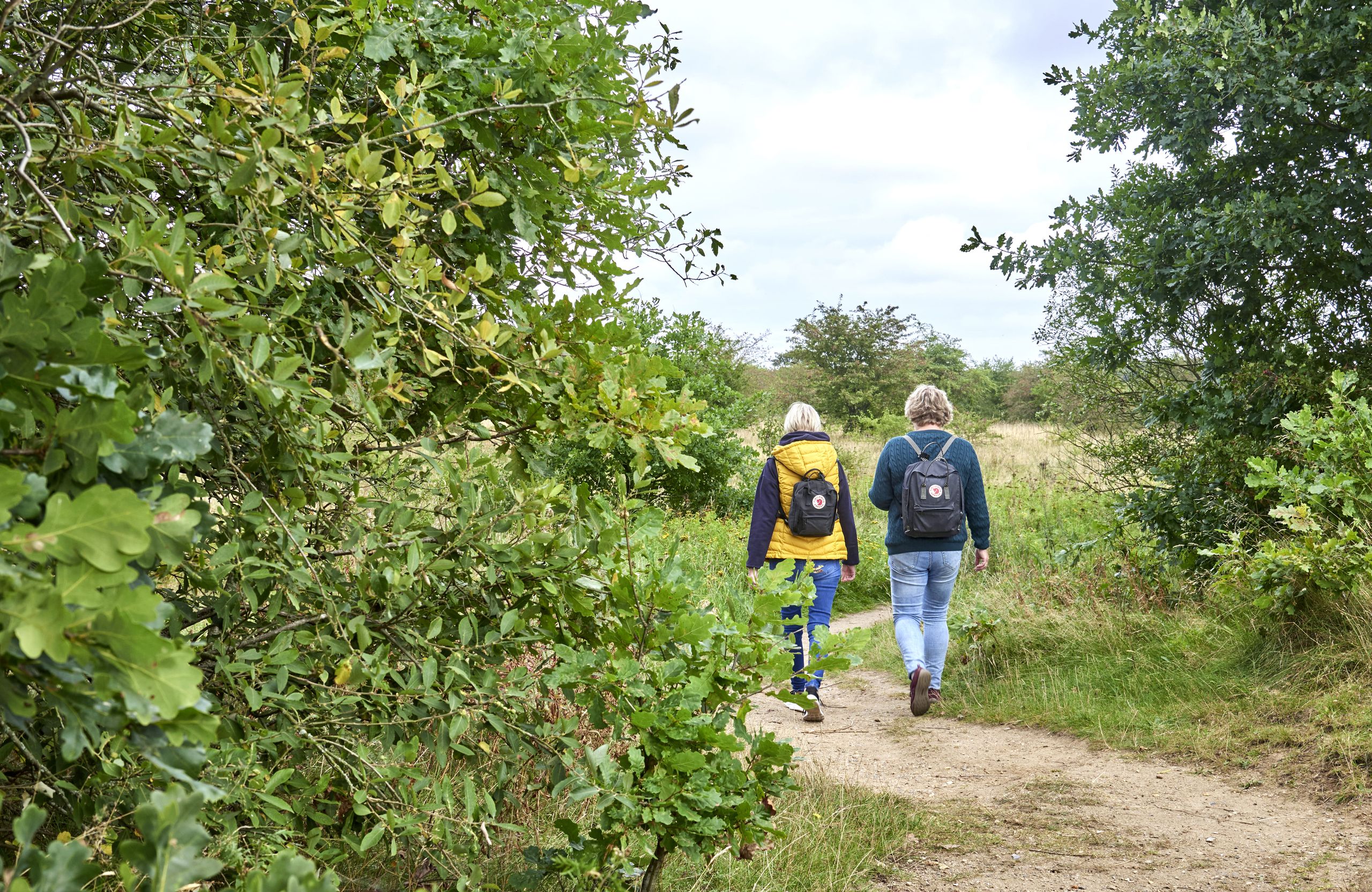 Zwei Frauen von hinten wandern in der Natur