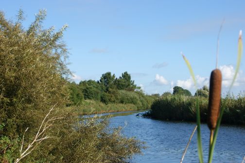 Die Neue Sorge, ein Nebenfluss der Eider, prägt mit ihren geschwungenen und begradigten Flussabschnitten die besondere Landschaft der Sorge-Niederungen.