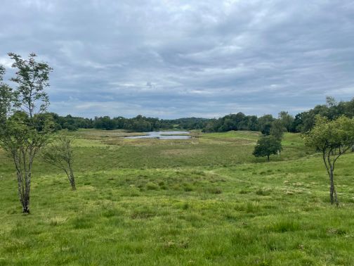 Sanddüne in der Oberen Treenelandschaft