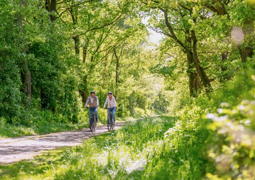 Pärchen radelt im Grünen