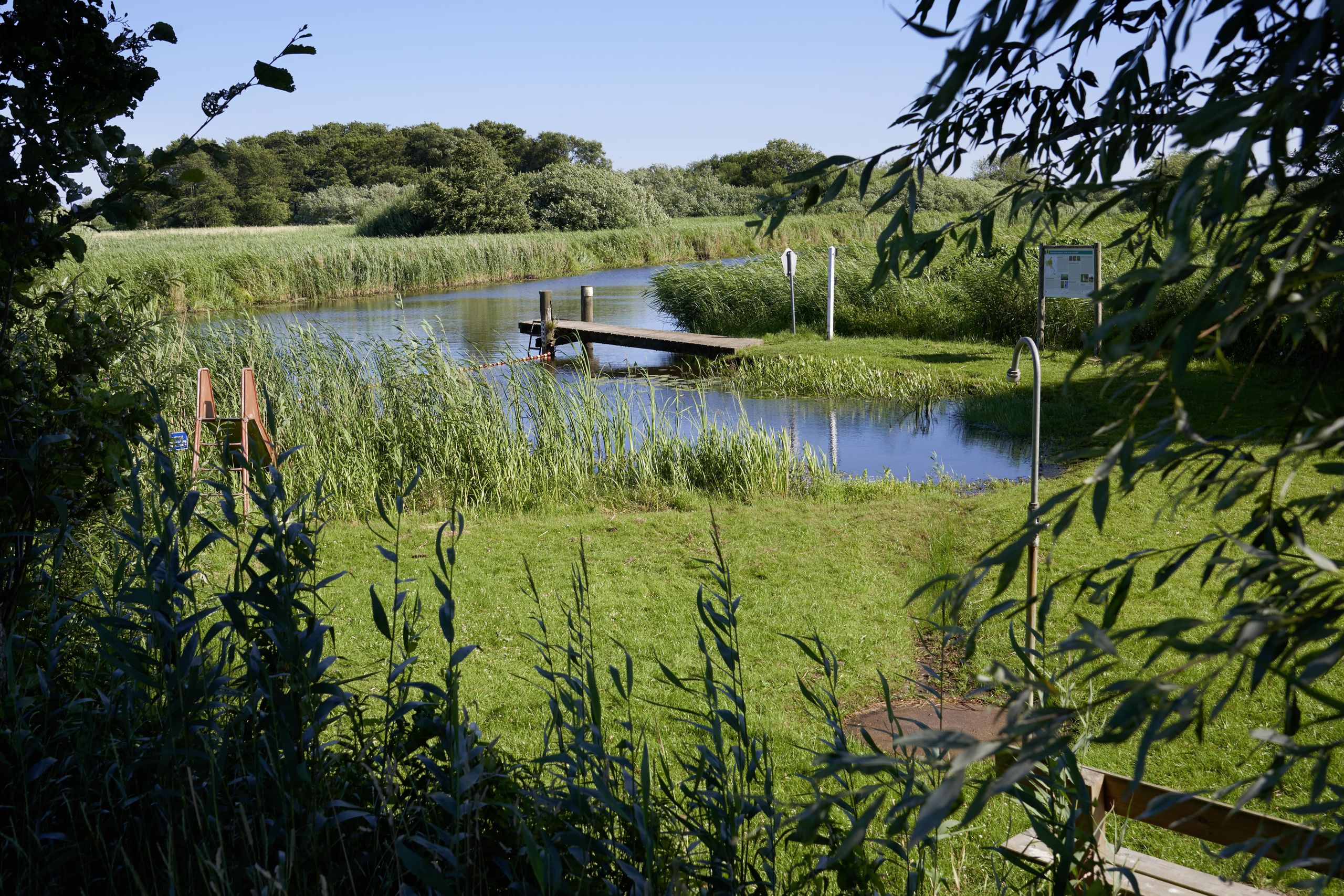 Eine idyllische Badestelle in Bergenhusen