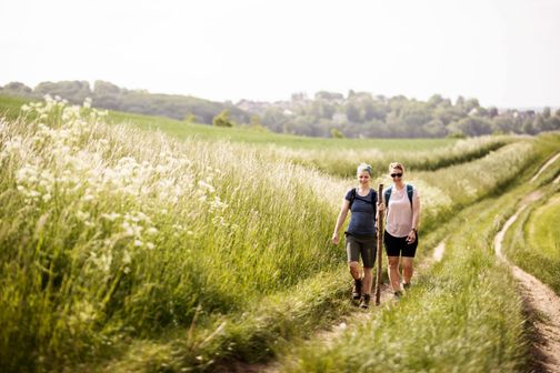 Zwei Wandern auf einer Wiese