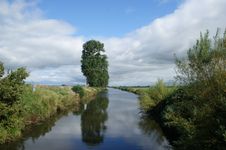 Fluss Sorge umrandet von Büschen