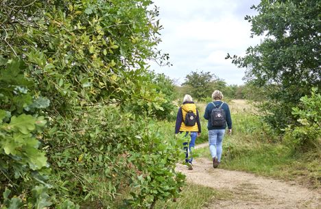 Zwei Frauen von hinten wandern in der Natur