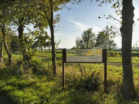 Natur in Hollingstedt