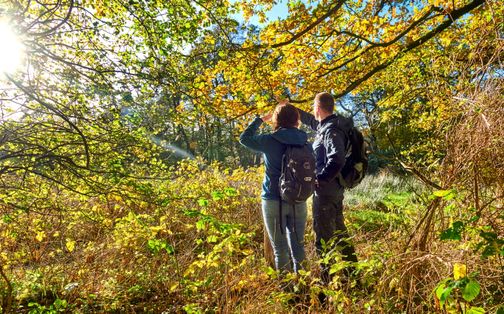 Die Stille und Weite der Natur genießen