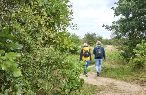 Zwei Frauen von hinten wandern in der Natur