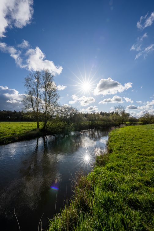 Landschaftsbild der Treene bei Sonnenschein.