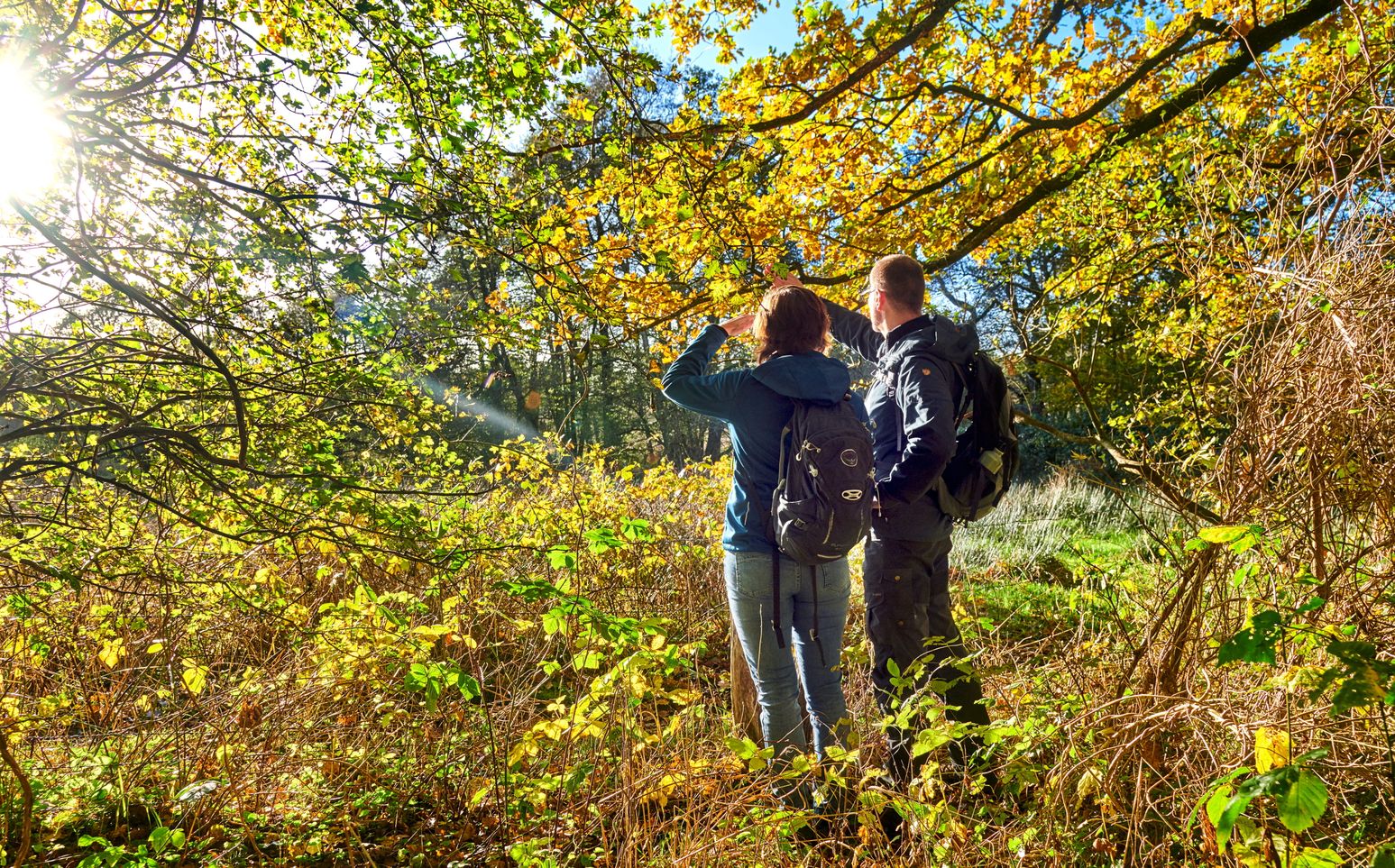 Die Stille und Weite der Natur genießen