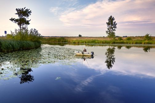 Angler sitzt im Boot auf der Eider