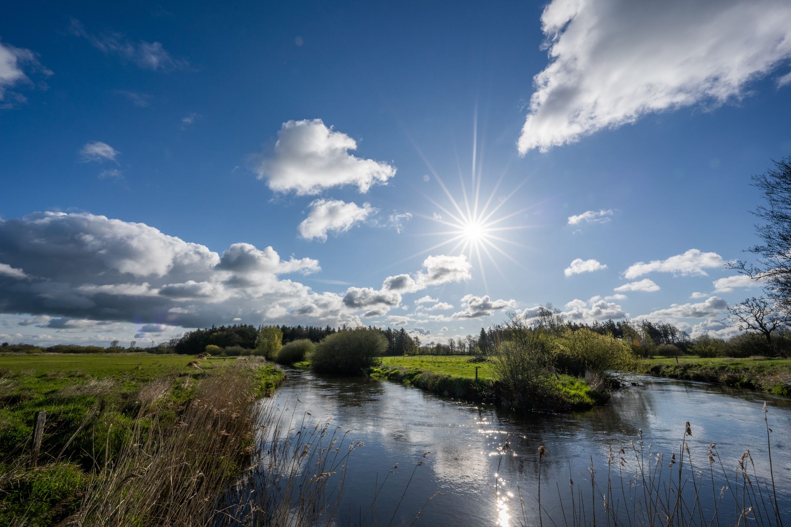 der Fluss Treene mit Wiese