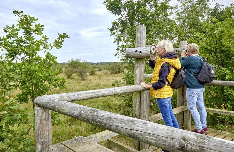 Zwei Personen gucken in die Natur