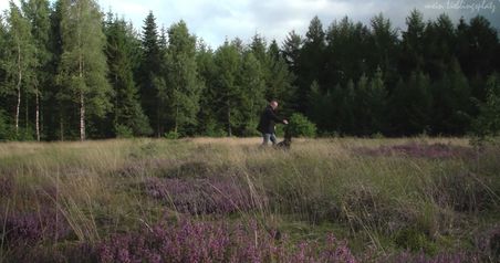 Mann mit Hund in der Natur