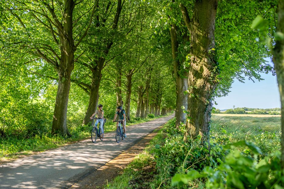 Zwei Radfahrer im Grünen unterwegs