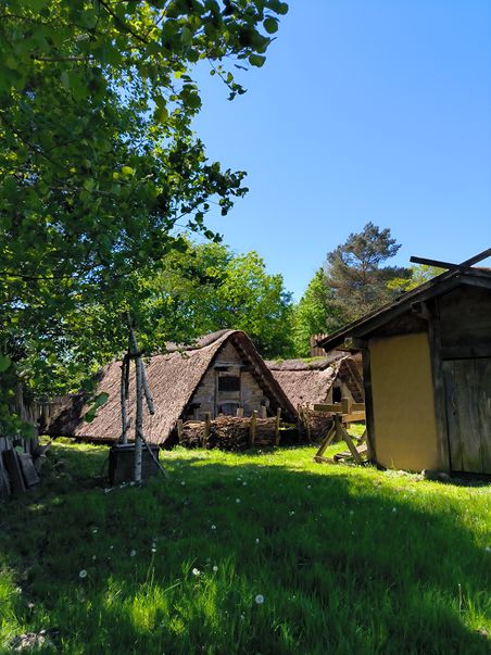 Wikingerzeitliche Hofanlage 