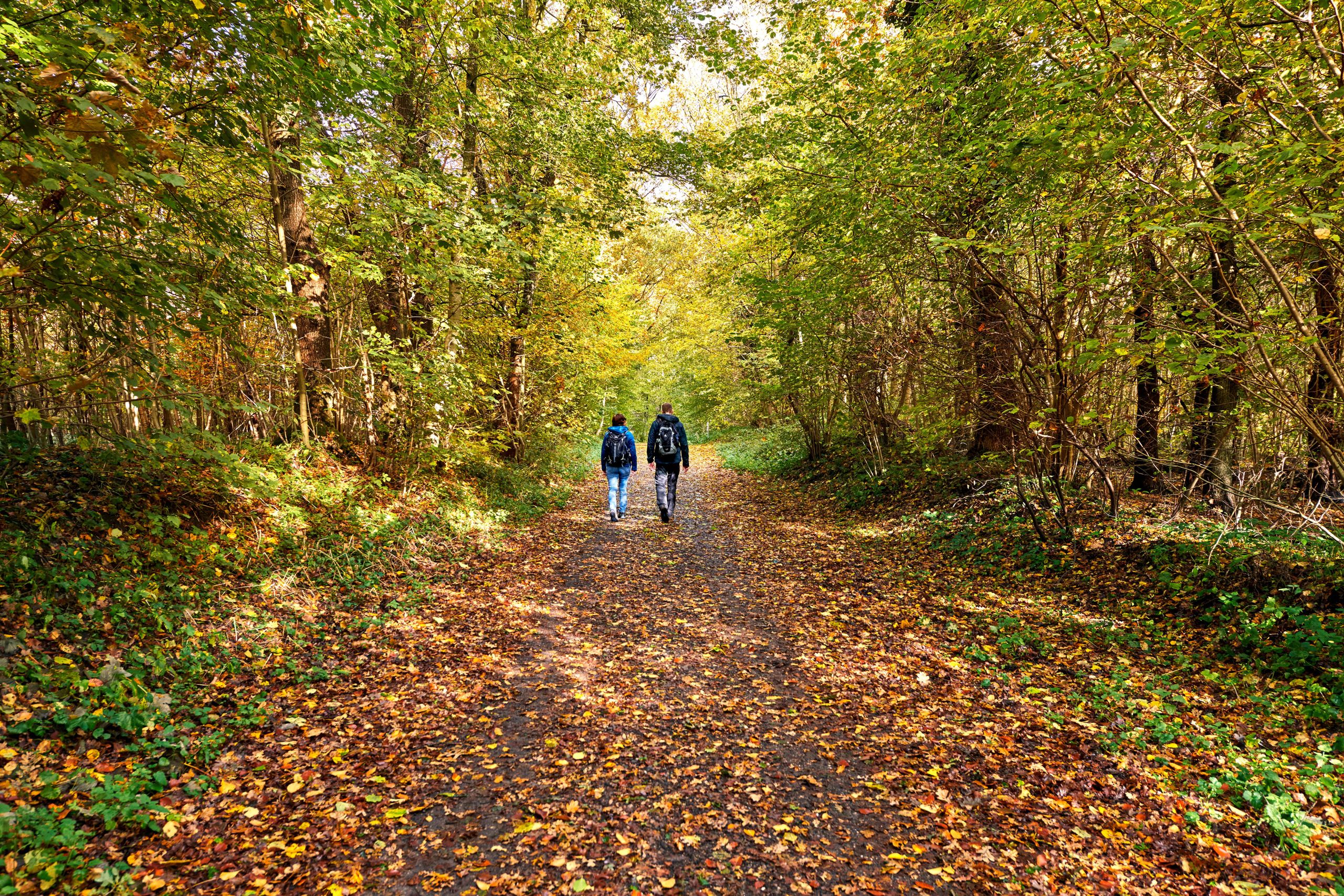 Zwei Wanderer auf dem Weg