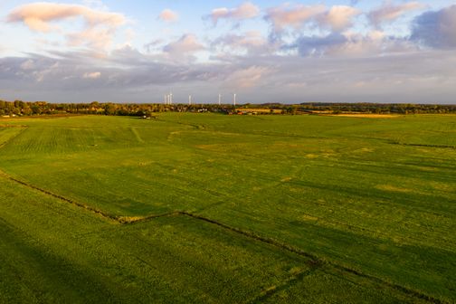 Grüne Wiesen und im Hintergrund Windkrafträder