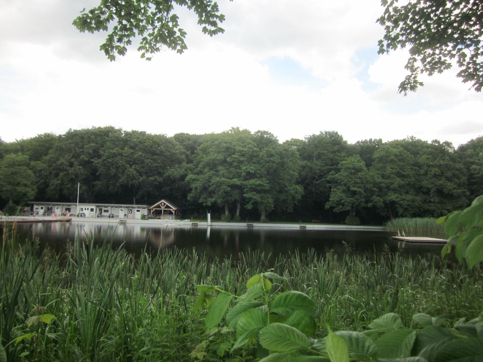 Das Waldbad Lindewitt ist ein idyllischer Naturteich.