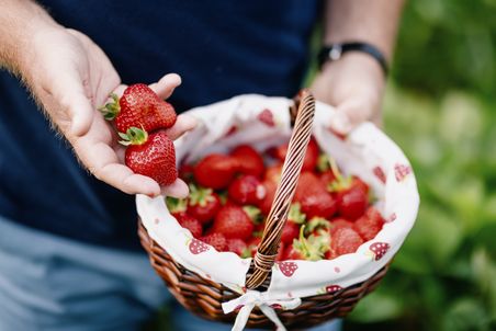 Erdbeeren sind degionale Köstlichkeiten in der Sommersaison