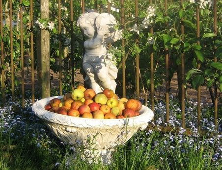 Äpfel im Barockgarten