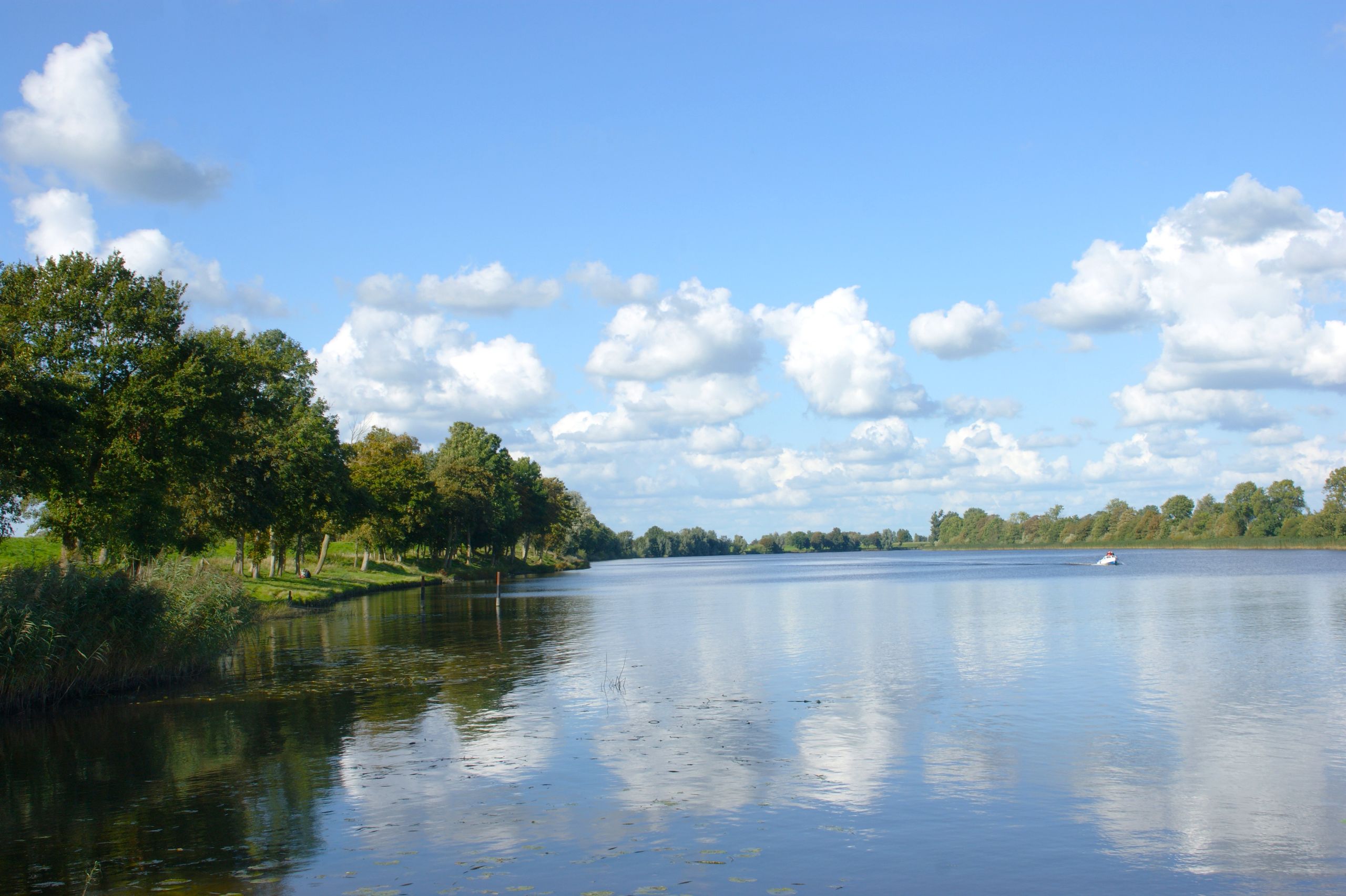 der Fluss Eider mit Natur rundherum