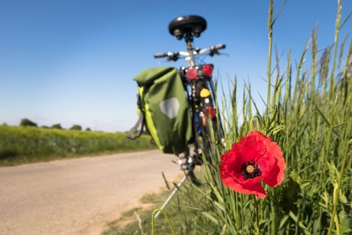 Fahrrad steht am Wegesrand