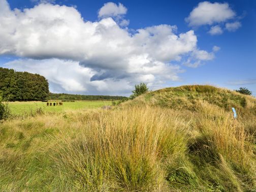 Landschaft Krummwall