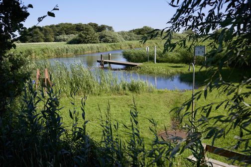 Eine idyllische Badestelle in Bergenhusen