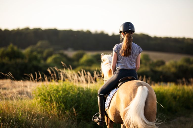 Mädchen auf dem Pferd reitet in Natur