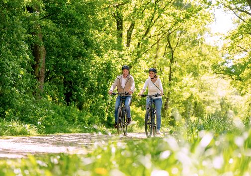Zwei Radfahrer im Wald unterwegs
