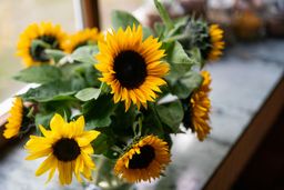 ein Strauß Sonnenblumen