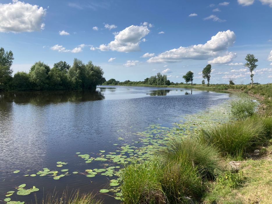 Fluss mit bewachsenem Ufer