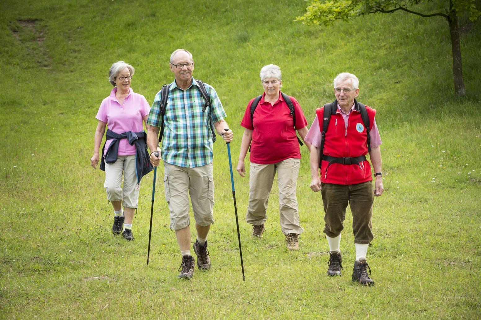 Gruppe am Wandern