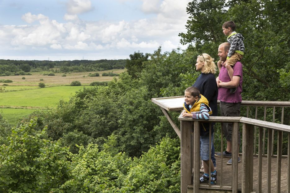 Familie auf Aussichtsplattform und guckt in die Natur