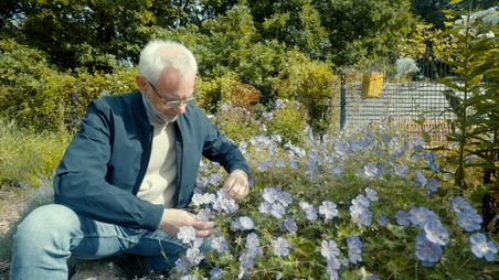 Ein Mann schaut sich Blumen genauer an