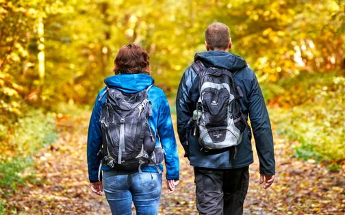 Zwei Wanderer mit Rucksäcken von hinten