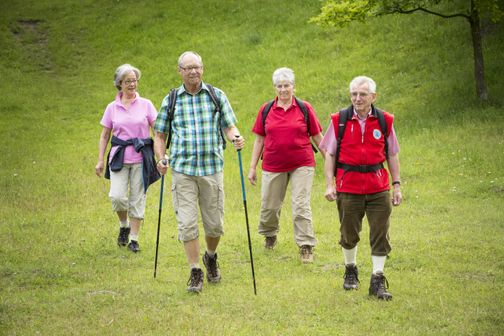 Gruppe am Wandern