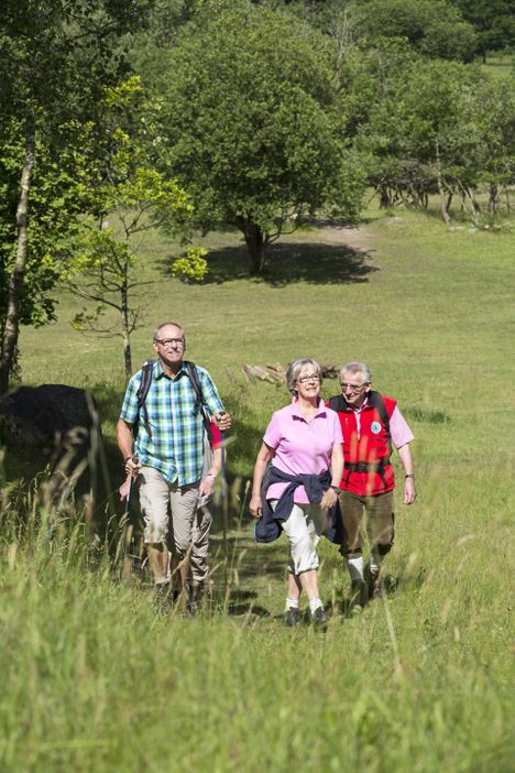 Gruppe am wandern