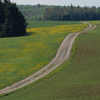 Kategorie-Bild Aktiv-Regionen